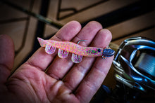 NEW 2” SWIMPRAWN FAIRY BREAD (6PK)
