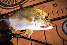 NEW 3.25” SWIMMINNOW DEVIL MINNOW (6PK)