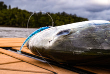 NEW 3.25” SWIMMINNOW PILCHARD (6PK)