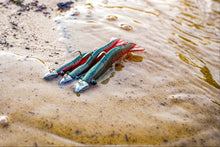 3” SWIMPRAWN UV MOTOR OIL (6PK)