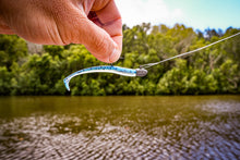 NEW 3.25” SWIMMINNOW PILCHARD (6PK)