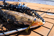 NEW 2” SWIMPRAWN FRESHWATER PRAWN (6PK)