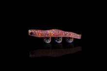 NEW 2” SWIMPRAWN PARTY PRAWN (6PK)