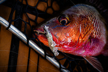 NEW 2” SWIMPRAWN MOULTING PRAWN (6PK)