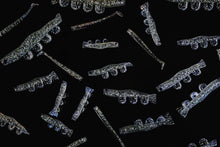 4” SWIMPRAWN MOULTING PRAWN (6PK)